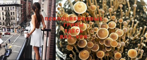 ГАЛЛЮЦИНОГЕННЫЕ ГРИБЫ Снежногорск