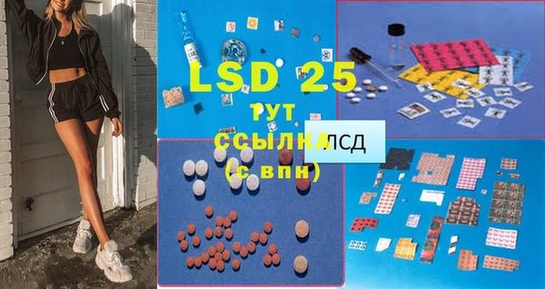 гашиш Богданович
