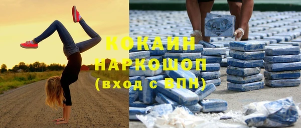 mdpv Богородицк