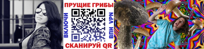 Псилоцибиновые грибы прущие грибы Сретенск